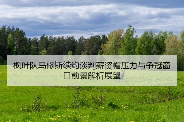 feng-ye-dui-ma-xiu-si-xu-yue-tan-pan-xin-zi-mao-ya-li-yu-zheng-guan-chuang-kou-qian-jing-jie-xi-zhan-wang-2-926.jpg