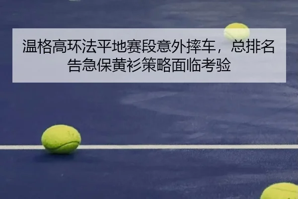 wen-ge-gao-huan-fa-ping-di-sai-duan-yi-wai-shuai-che-zong-pai-ming-gao-ji-bao-huang-shan-ce-lve-mian-lin-kao-yan-2-238.jpg